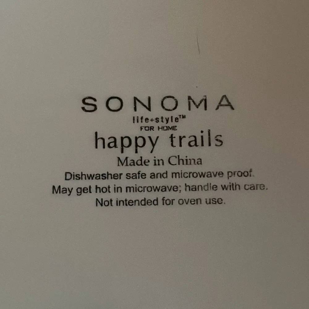 Sonoma Happy Trails 8” Square Set of 2 Salad Plates